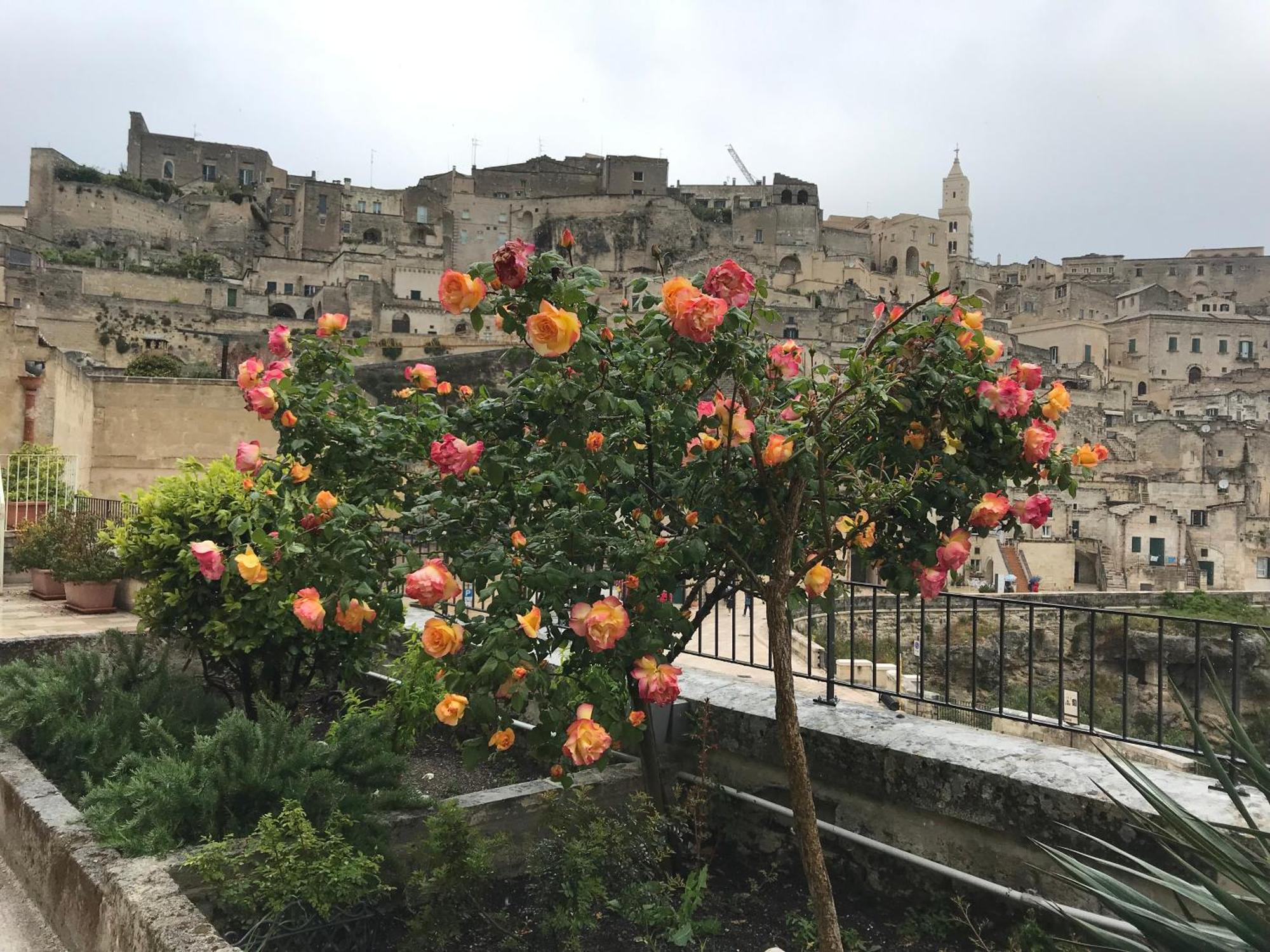 La Corte Dei Pastori Matera Exteriér fotografie
